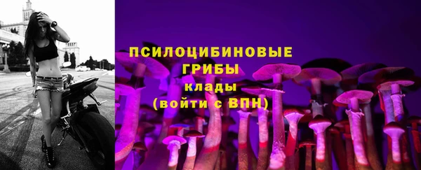 героин Алзамай