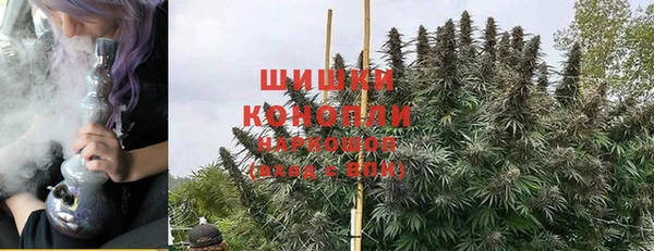 индика Алексеевка