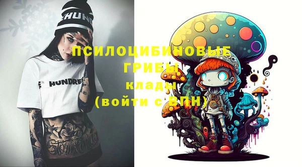 индика Алексеевка