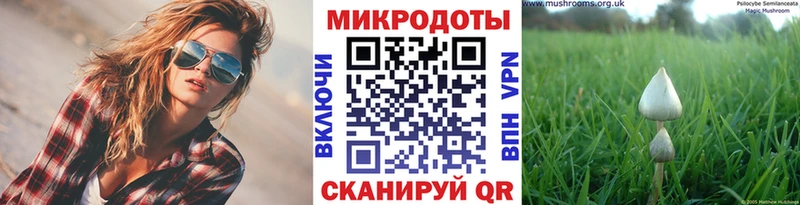Купить где Вышний Волочёк Псилоцибиновые грибы мухоморы